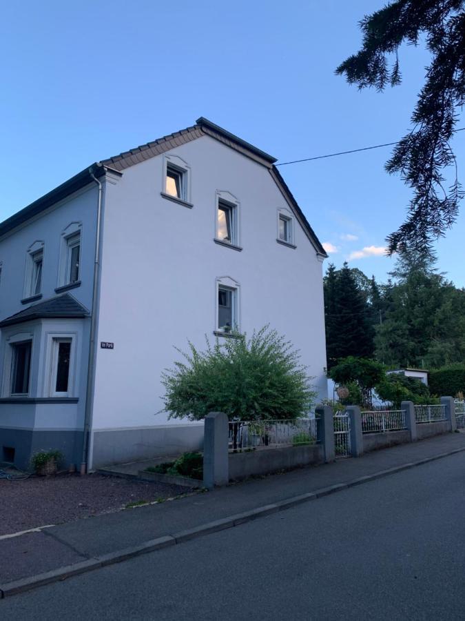 Sascha'S Home Saarlouis Eksteriør billede