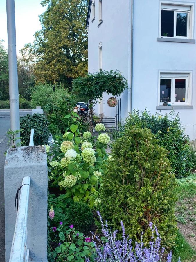 Sascha'S Home Saarlouis Eksteriør billede